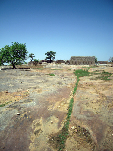 B014_large