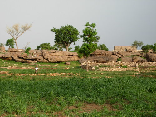 B015_large