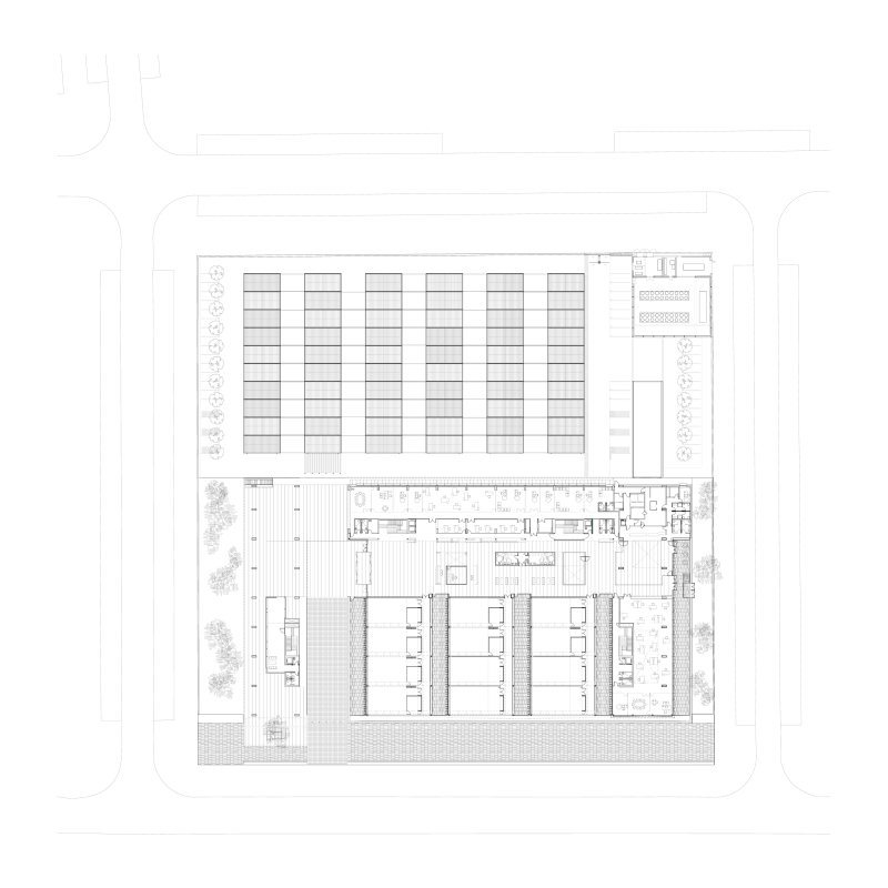 Sescam_planta_0_full