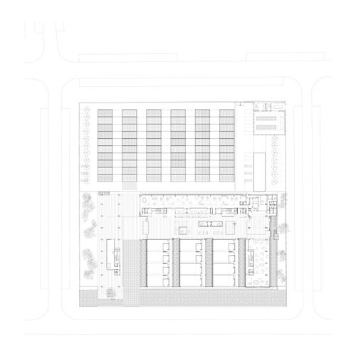 Sescam_planta_0_large