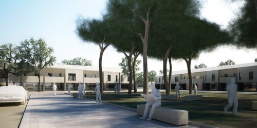 056_vita_basso_copy_large