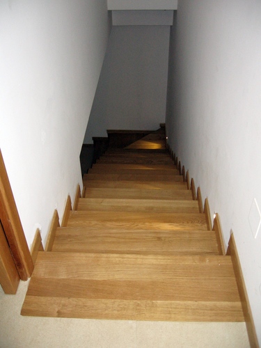 Telemaco_005_large
