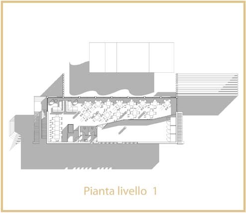 Pianta_3_large