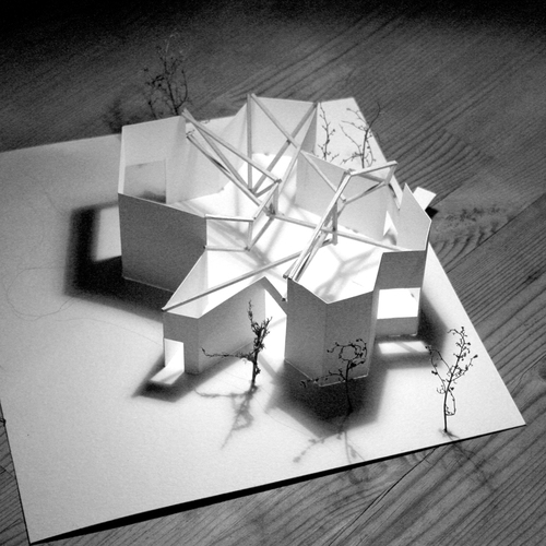 Prueba_bn_01_large