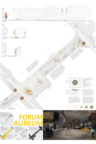 Nyrens-forumaureum_2_large