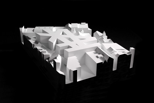 Duerig_ag_coam_model2_large