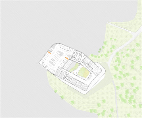 Planta-p-3_large