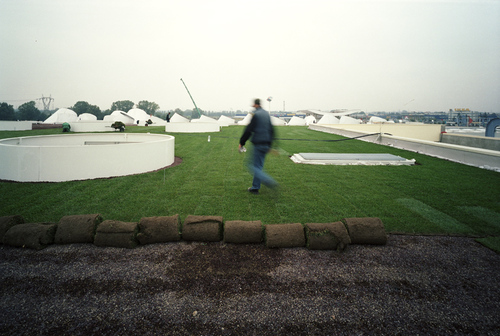 08_tetto_large