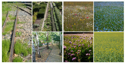 Ph777_park_references_large