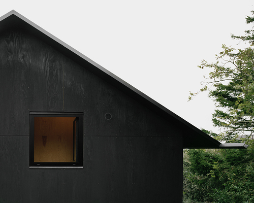 Brn_05_large