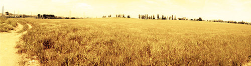 Europan11-cerdanyola-01_context_large
