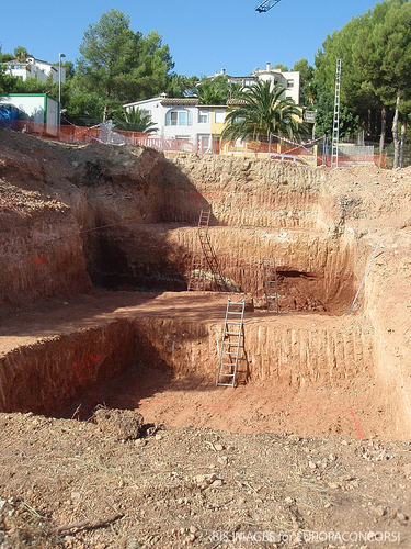 P1010008_large