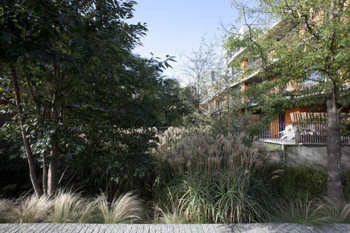5_vegetation_large
