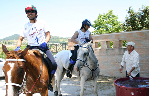 Foto_fiorucci_large