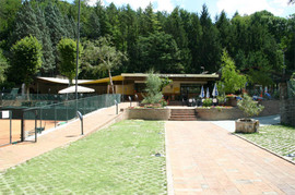 551435222_normal