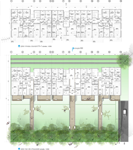Plan-rdc-reduit_large