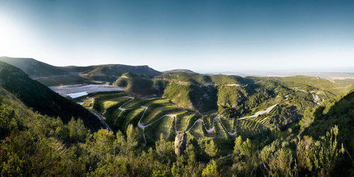 Pan-avocador_large
