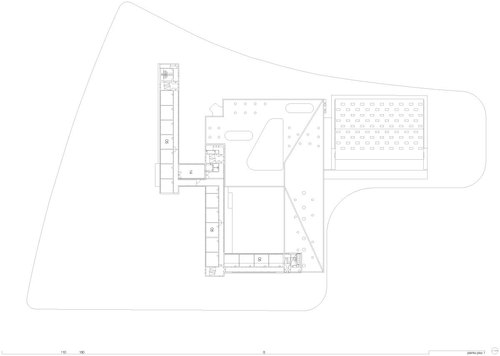 P1_large