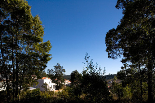 03608pr081117_022d_large