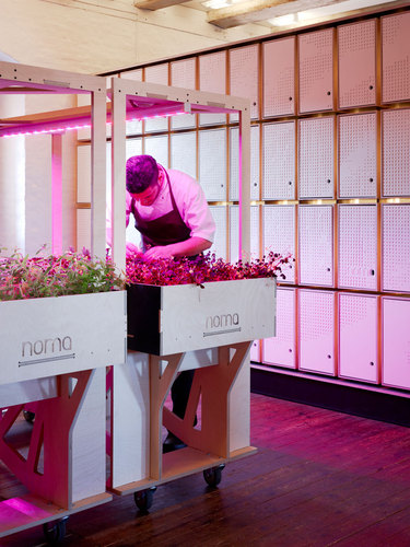07_063_noma_foodlab_021_h_large