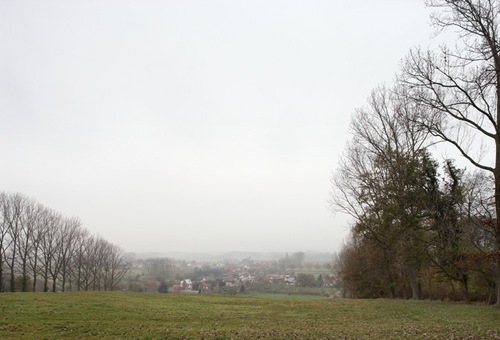 001_rot-ellen-berg_large