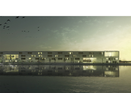 C06-image2_normal