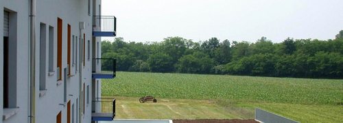 09_large