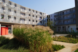 Dsc3_normal