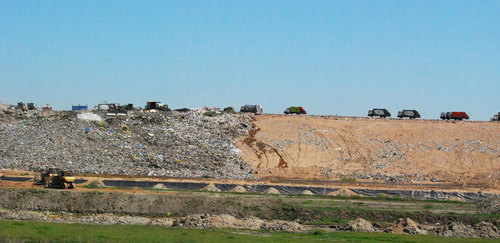 Dsc_0133_large