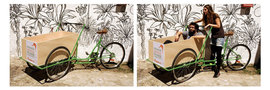 Dsc_1238_escenografia_h_normal