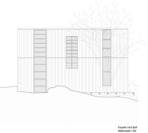 Npa_facade4_1-50_large