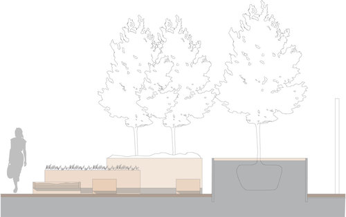 Section_large