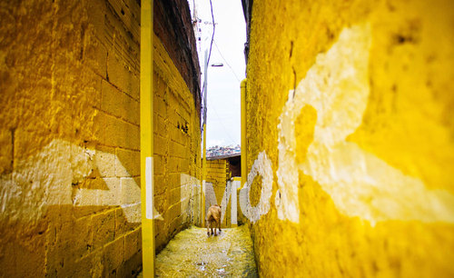 006_amor_boamistura_large