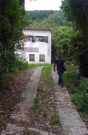 Img_0216_normal