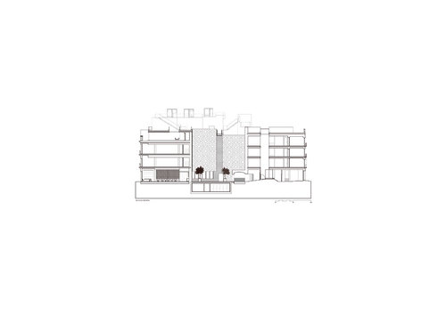 Section-02_large