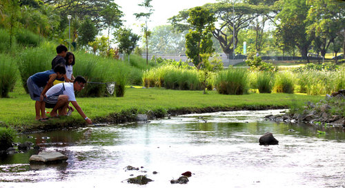 Singapore_bishan-park_cr-dreiseitl_07_large