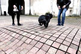 Img_1104_©raum_normal