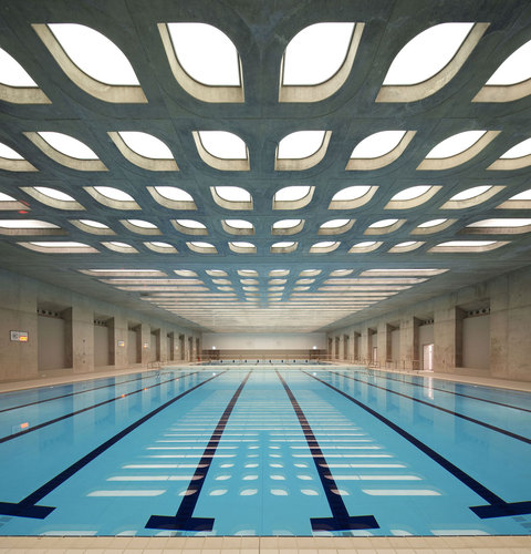Zh-aquatic-018_large