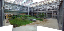 Borm_2011_low_normal