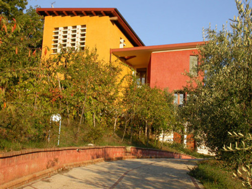 479781647_large