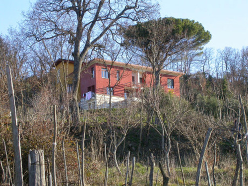 1537999612_large
