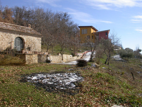120534608_large