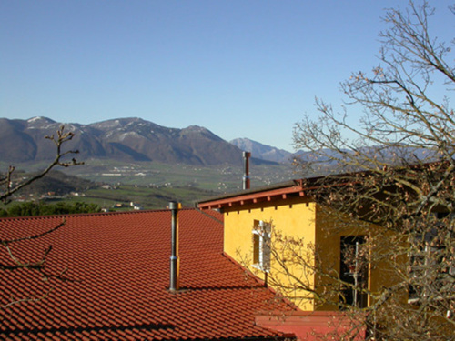 2037894045_large
