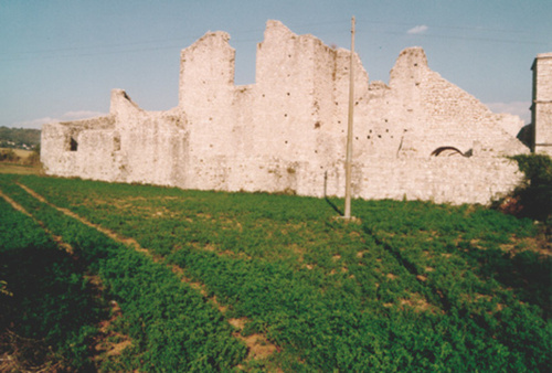1143520558_large