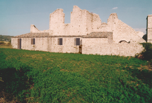 1232921505_large