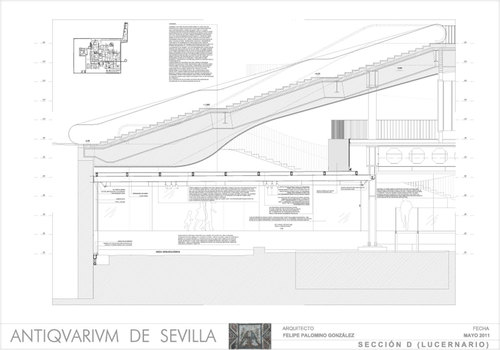 Seccion-d_large