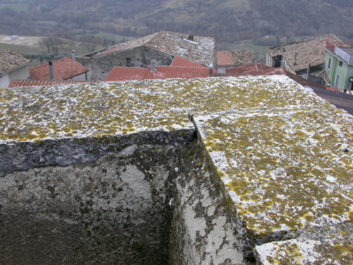 980239572_large