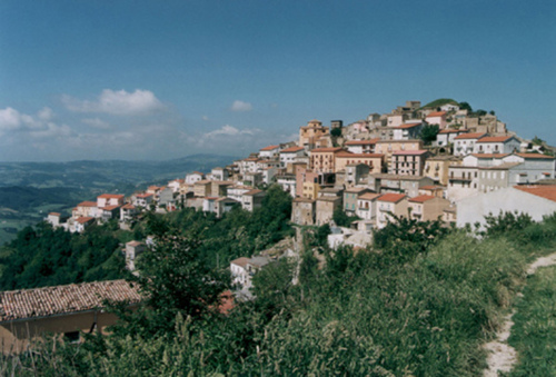 1747117582_large
