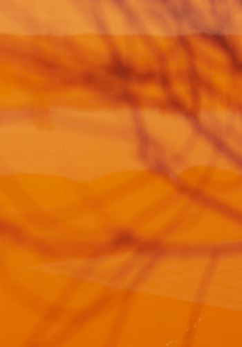 Spira_013_large