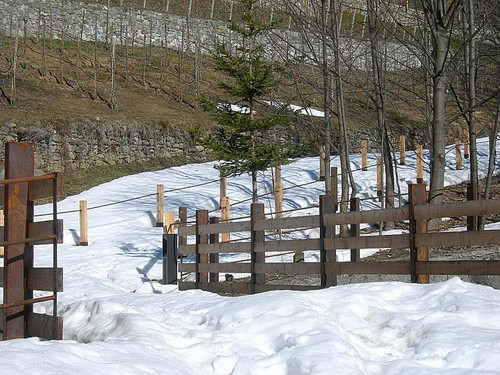 Dscn4258_large